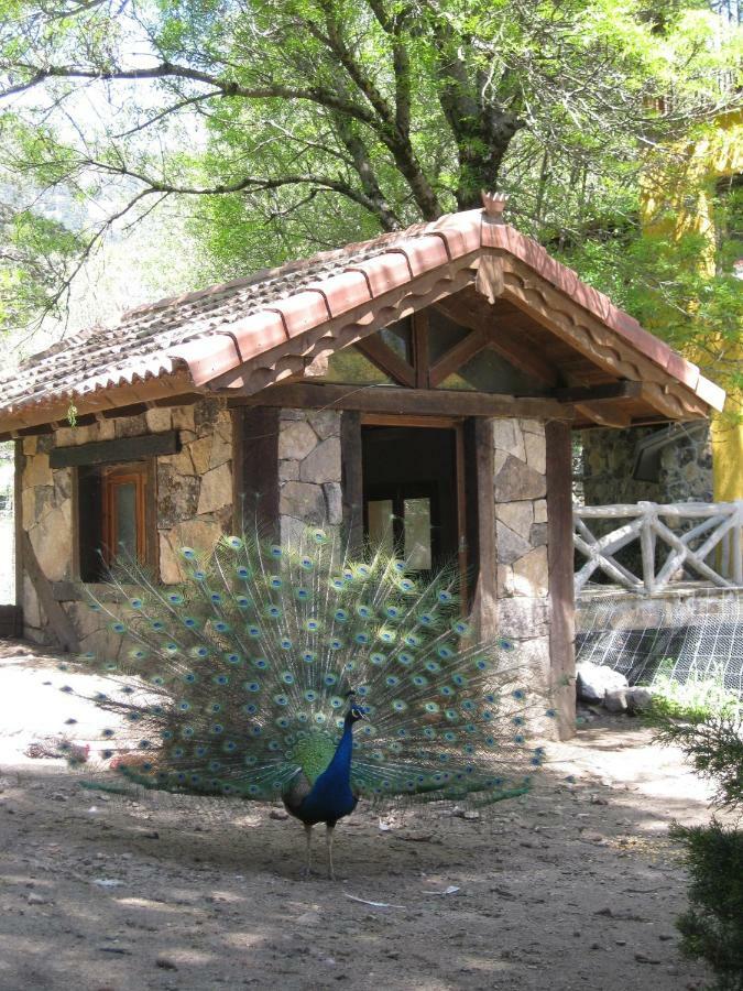 Hotel Rural Los Frutales سيرسيديلا المظهر الخارجي الصورة